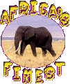 Africa's Finest Web Sites